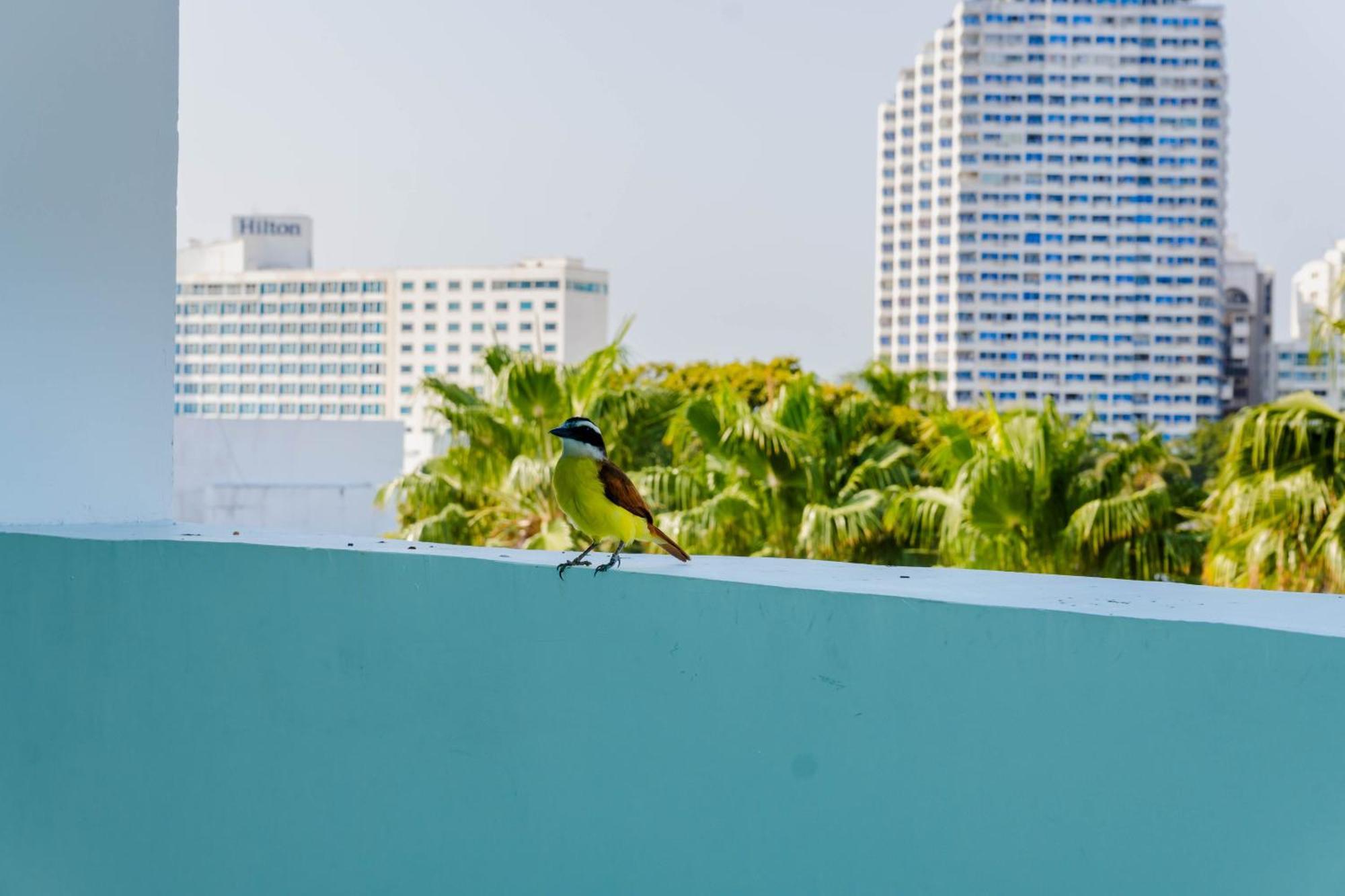 Hotel Coral Reef Картахена Экстерьер фото